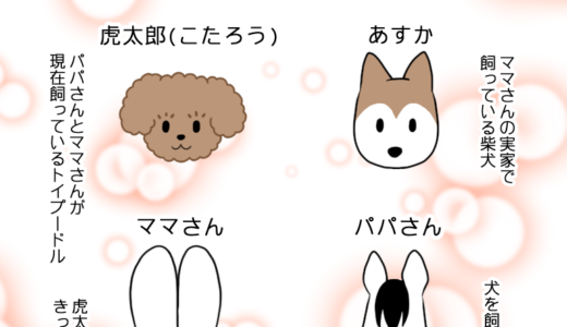 の トイ 虎太郎 プードル