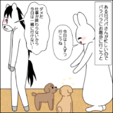 ある日の散歩前