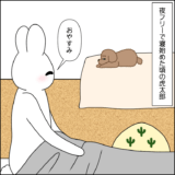 フリー寝コタさん