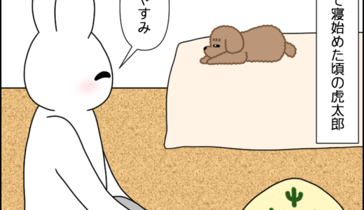 フリー寝コタさん