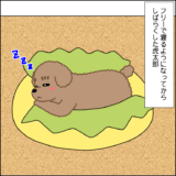 フリー寝コタさん その２