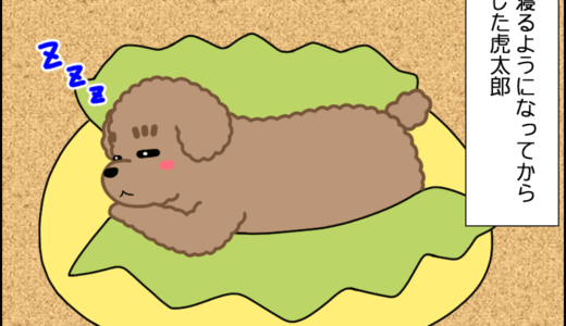フリー寝コタさん その２