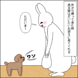 帰ってきたら