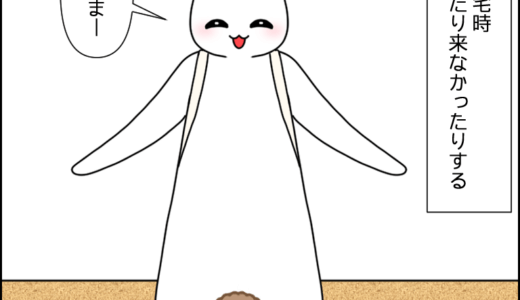 帰ってきたら その２