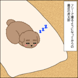 フリー寝コタさん その３