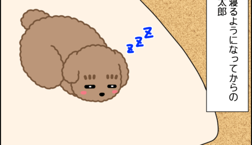フリー寝コタさん その３