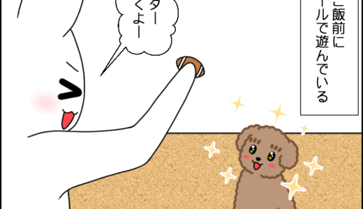 夢中すぎて…