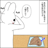 三桜探し