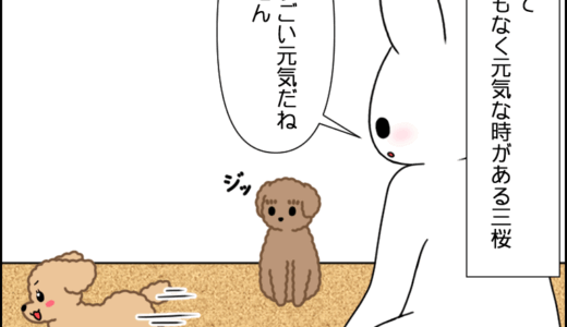 元気です！