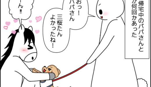 パパさん愛