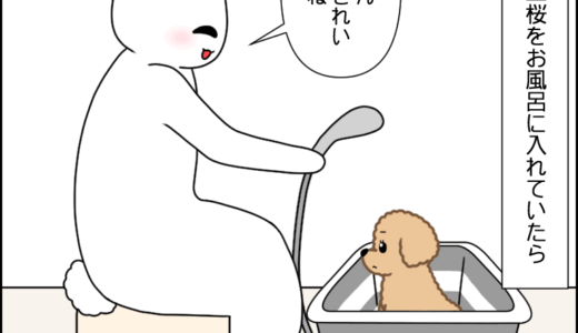 消えない臭い
