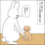 コマンド朝活