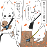 トリミング前・春夏秋冬