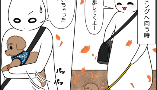 トリミング前・春夏秋冬