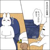 お昼寝タイム